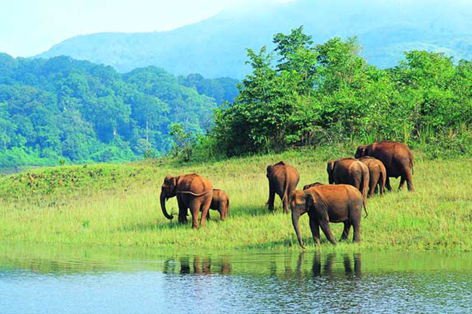 Alapuzha